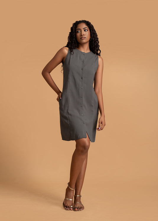 Sleeveless Round Neck Dress With Princess Seam